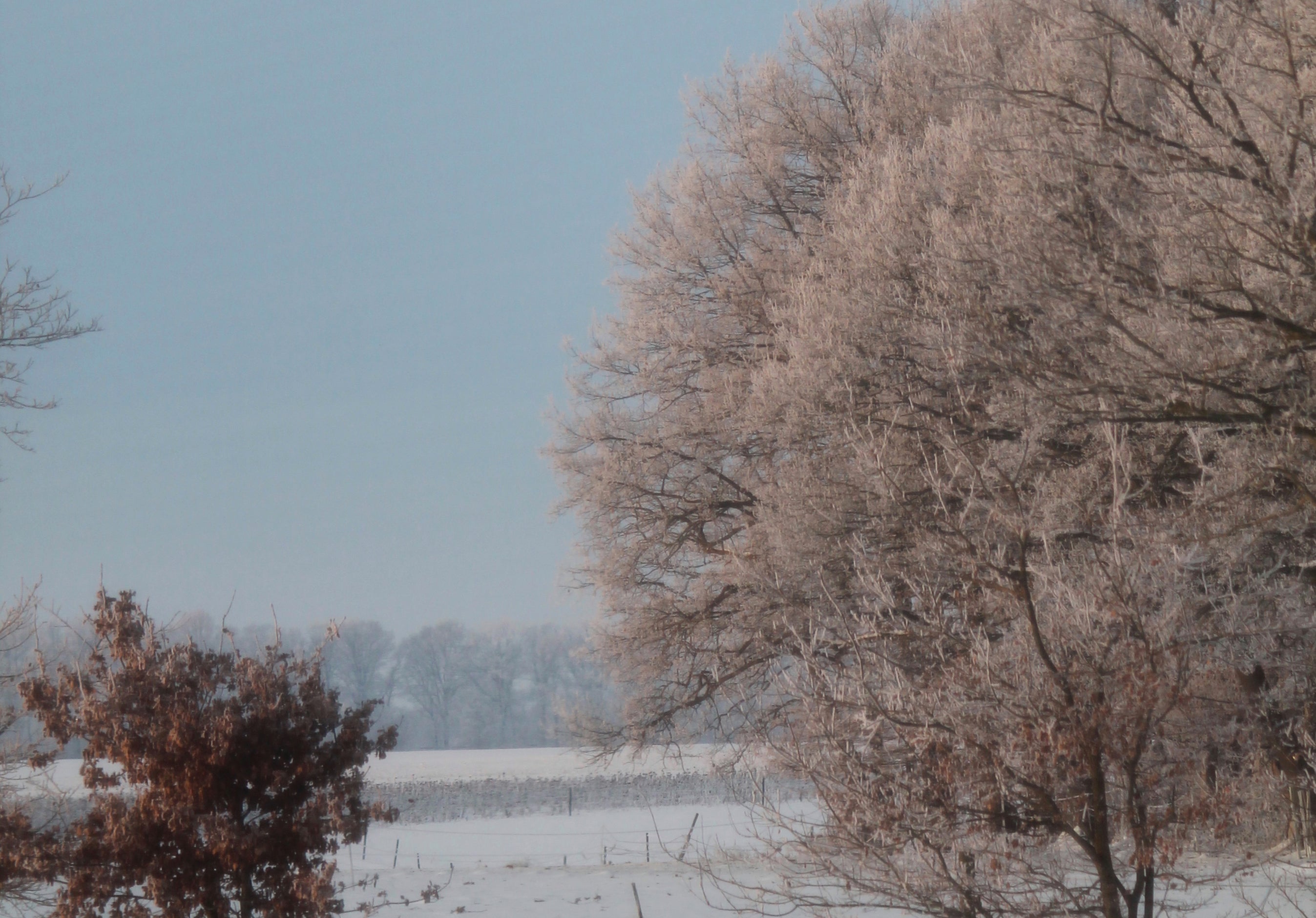 Winterwonderland