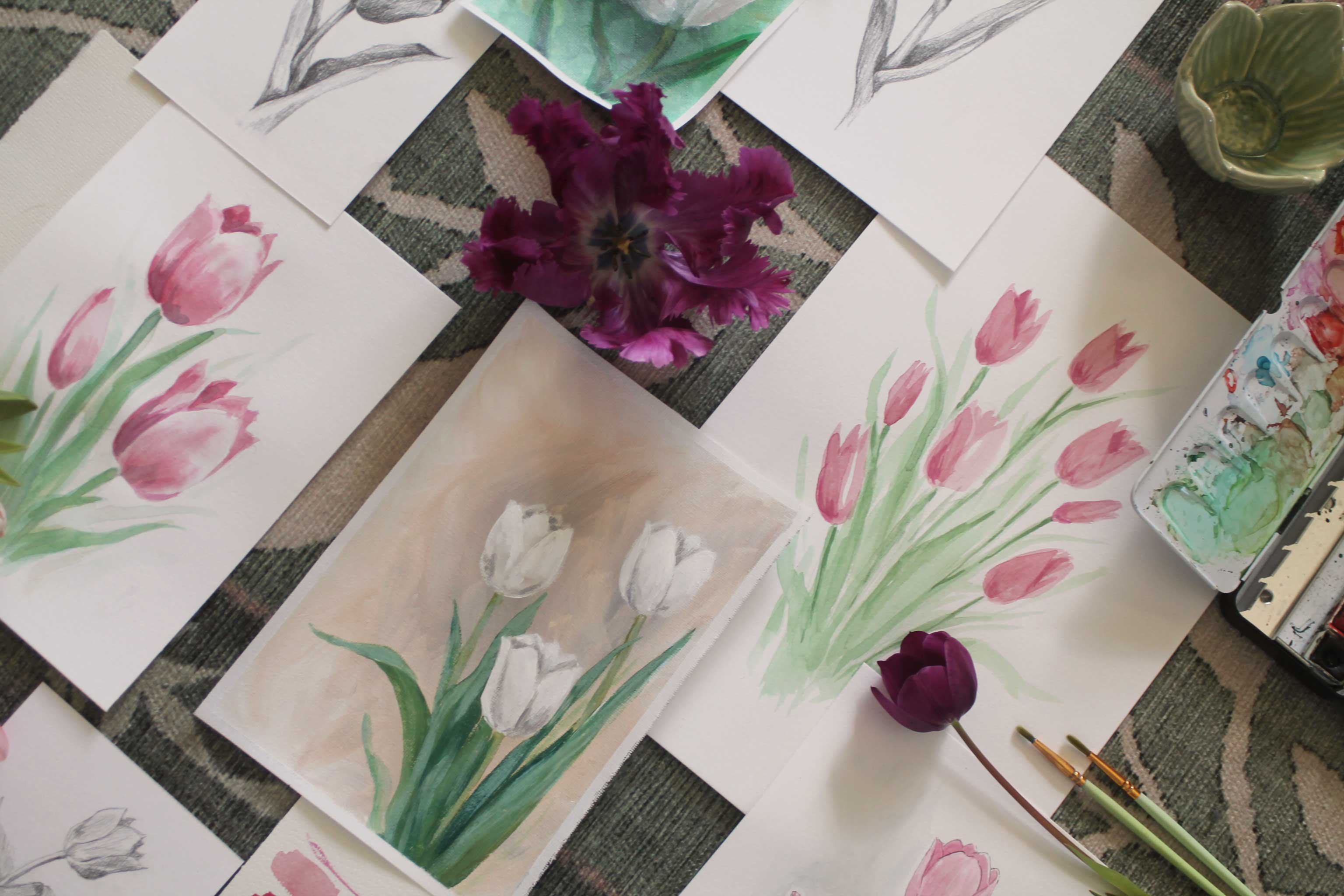 Tulpen-Studien