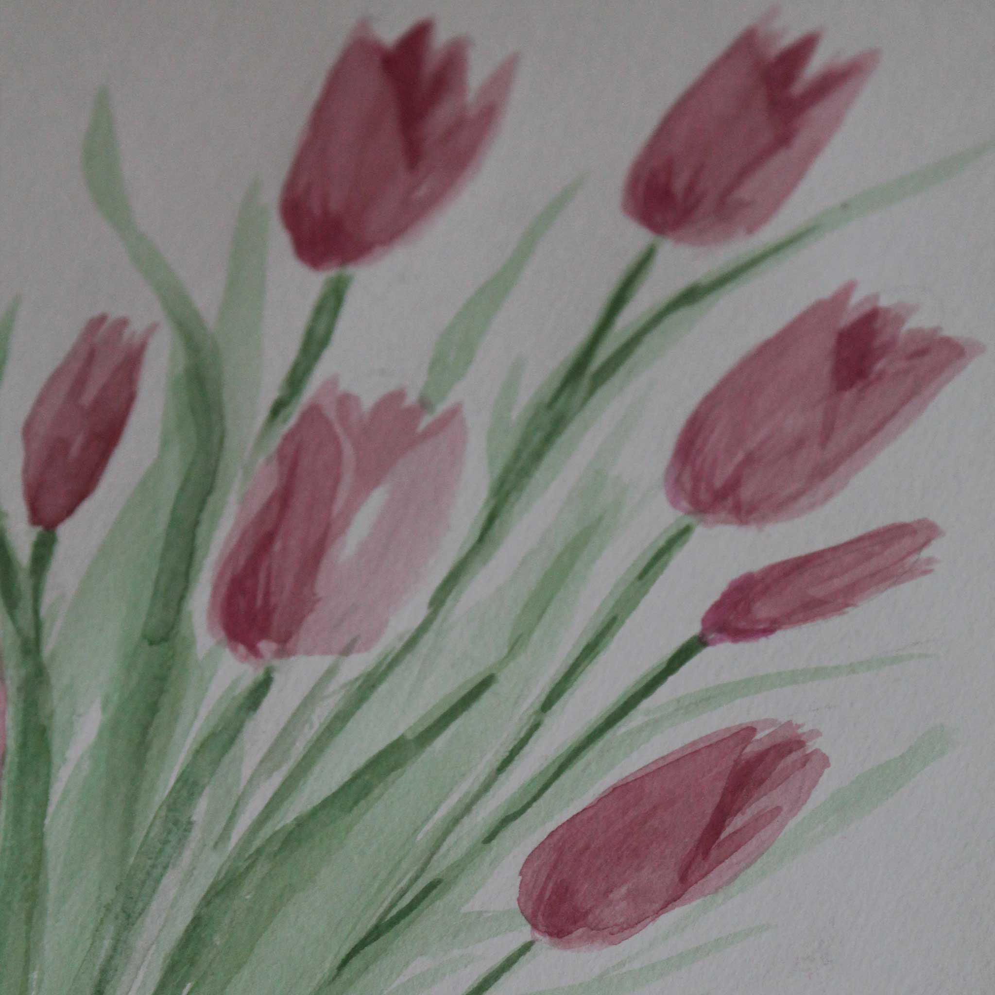 Original Aquarellgemälde "Rosa Tulpen"