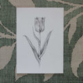Originalskizze "Nur die Tulpe"