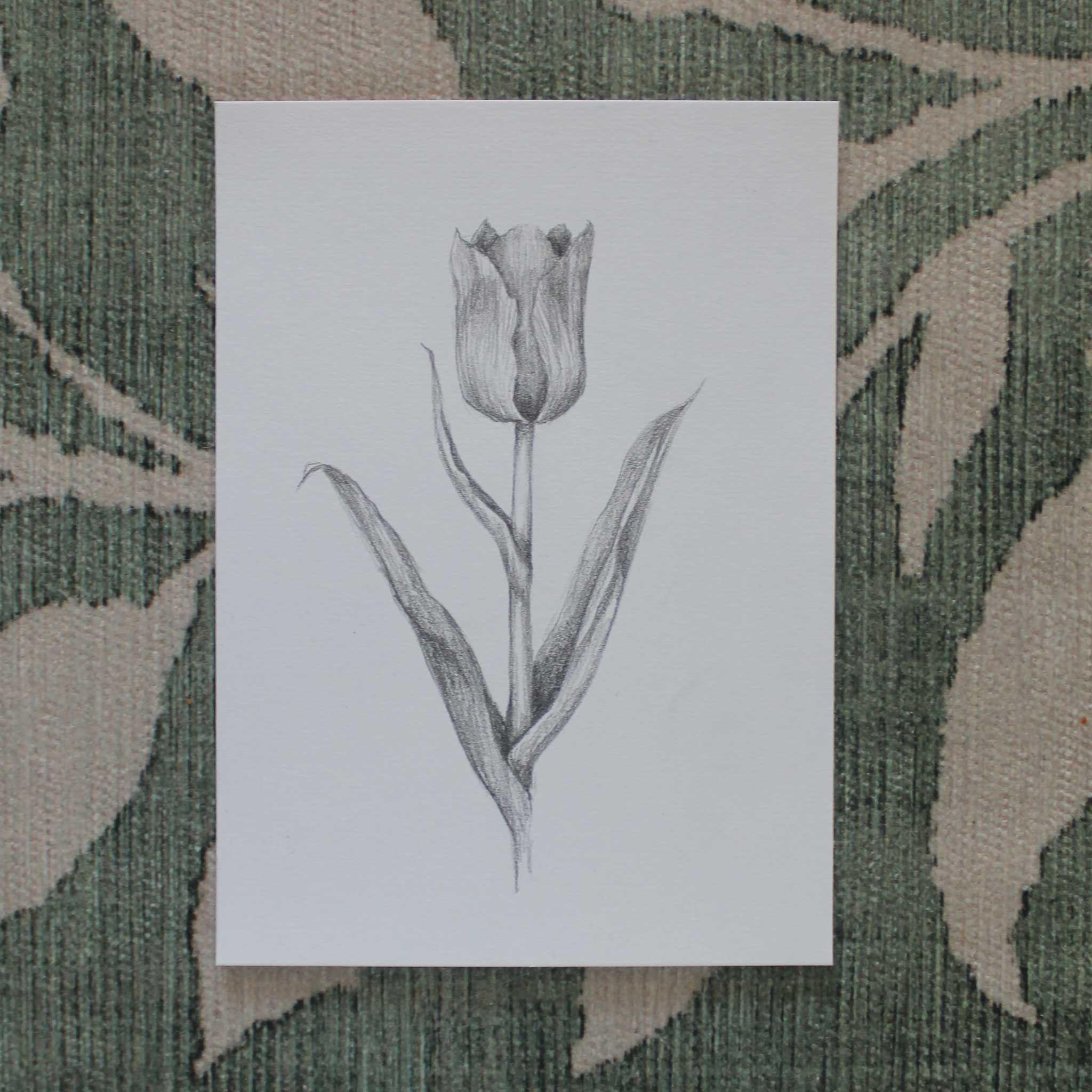 Originalskizze "Nur die Tulpe"