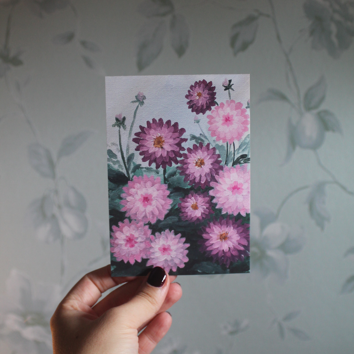 Rosa Dahlien